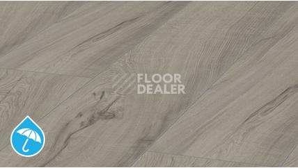 Ламинат Kronotex Mammut Plus d4671 Дуб Магнум Серый фото 1 | FLOORDEALER
